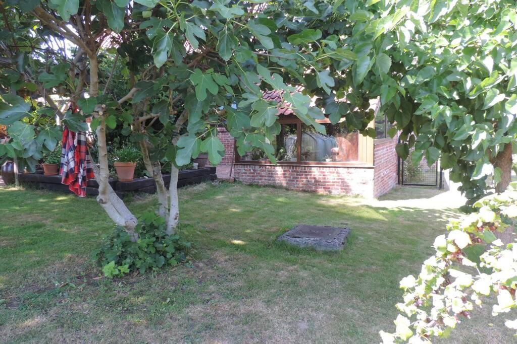 Vakantiewoning Zoetebeek Oudenaarde Exteriör bild